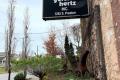 Galerie Hertz Art Gallery