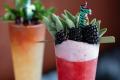 Swizzle Dinner & Drinks