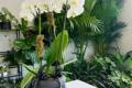 Thrive Floral Studio