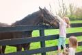 TRF Sanctuary Farm at Chestnut Hall