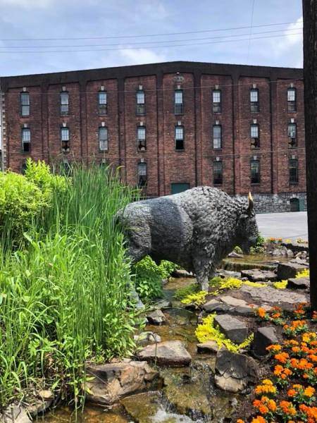 Buffalo Trace Distillery