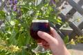 Shippingport Brewing Company