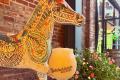 Butchertown Brewing