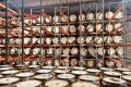 Boundary Oak Distillery