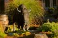 Buffalo Trace Distillery