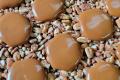 Muth's Candies