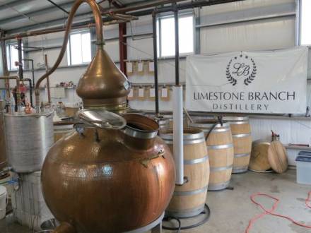 6758_limestonepotstill.jpg