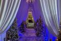 Millennium Events and Floral