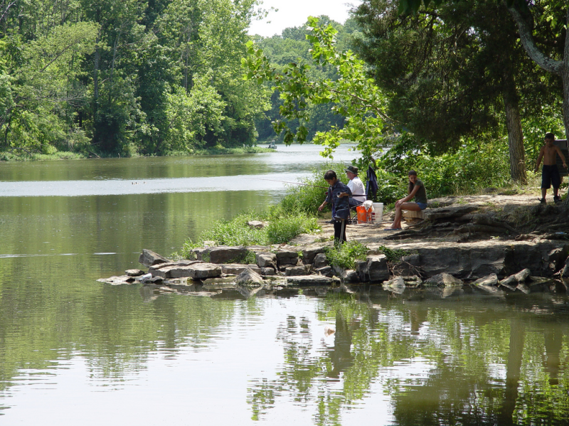 Fishing