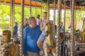 Kentucky Kingdom Theme & Water Park