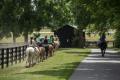 Kentucky Horse Park