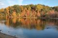 Waverly Park
