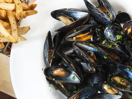 Mussels