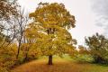 Shawnee Park