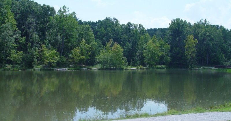 Waverly Park : GoToLouisville com Official Travel Source