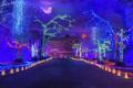 Louisville Mega Cavern's Lights Under Louisville!