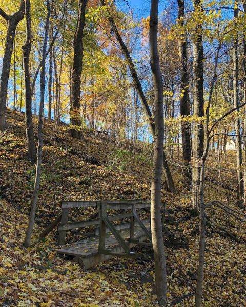 Jefferson Memorial Forest GoToLouisville Official Travel Source