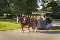 Kentucky Horse Park