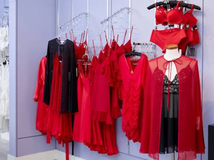 Underpinnings Lingerie