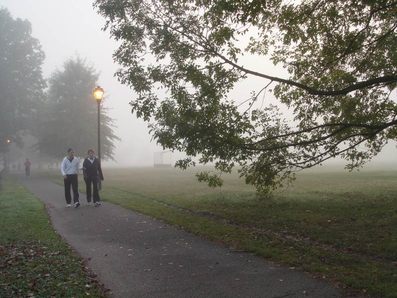 Seneca Park Official Travel Source