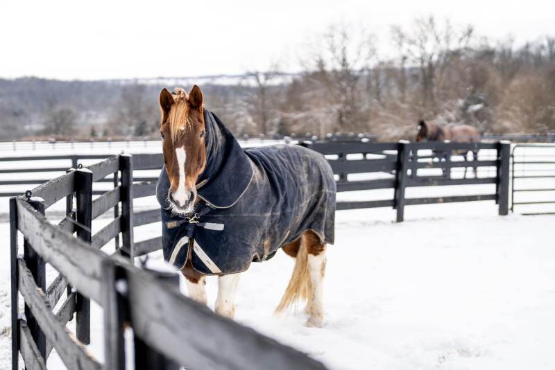 Ashbourne Farms Official Travel Source