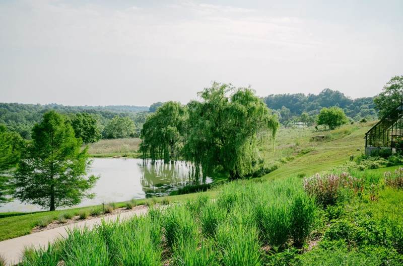 Ashbourne Farms Official Travel Source