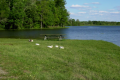 Long Run Park