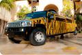 PartyBus-Rental.net