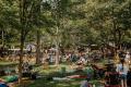 Forest Fest