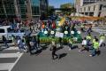 Zoeller Pump Company Pegasus Parade