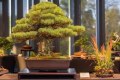Beginner Bonsai with the Greater Louisville Bonsai Society