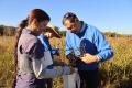Seed Collecting