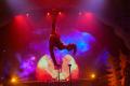 Cirque Musica Holiday Wonderland