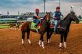 Derby Season Tours