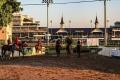 Derby Season Tours