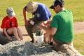 Dig Our Collecting Piles!
