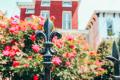 Historic Charm Tour: Tastes & Tales in the Victorian Highlands