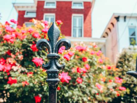 Louisville Events Calendar Discover Festivals Events