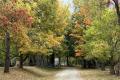 Autumn Foraging Hike