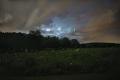 By the Lamp of Fireflies: Family Focused Firefly Fun