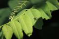 A BIG look at little Nature