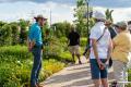 Garden Highlights Walk & Talk