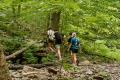 Lower Overalls Creek Hike