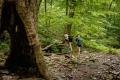 Third Sunday Nature Hike