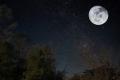 Full "Flower" Moon Micro Hike