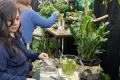 Louisville Home + Garden Show