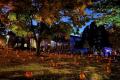 25th Annual Jack O' Lantern Stroll