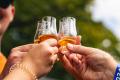 The Kentucky Bourbon Festival