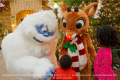 Christmas At Kentucky Kingdom