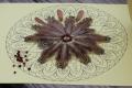 Natural Mandalas - Art at the Falls